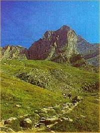 أفضل العروض ل منزل ال وسبيتال اينسه سوبرارب